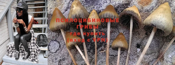 молекула духа Бородино