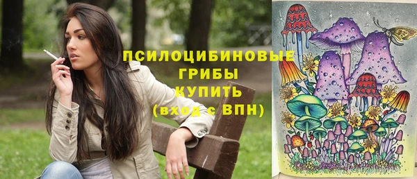 круглые Бронницы