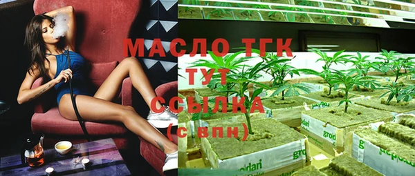 молекула духа Бородино