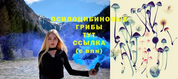 молекула духа Бородино